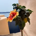 Iviscos Traditional House